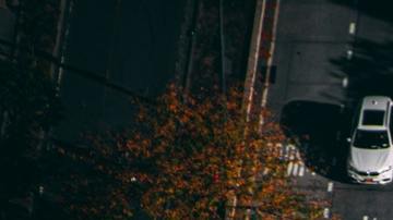 Tráfico vehicular en Estados Unidos