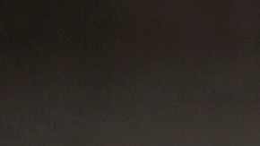 Family standing outside house next to car