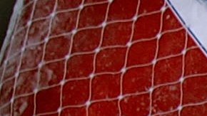 Día de Acción de Gracias Walmart pavos