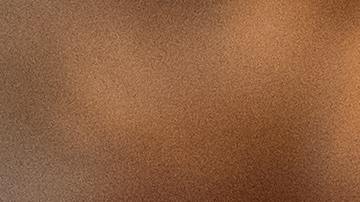 Día de Acción de Gracias cena