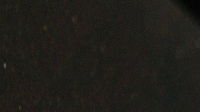 Día de Acción de Gracias precio de gasolina