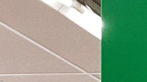 Dollar Tree