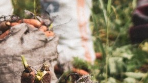 El trabajo en el campo es sólo una de las decenas de industrias en las que hay trata laboral en Estados Unidos.