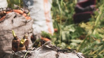 El trabajo en el campo es sólo una de las decenas de industrias en las que hay trata laboral en Estados Unidos.