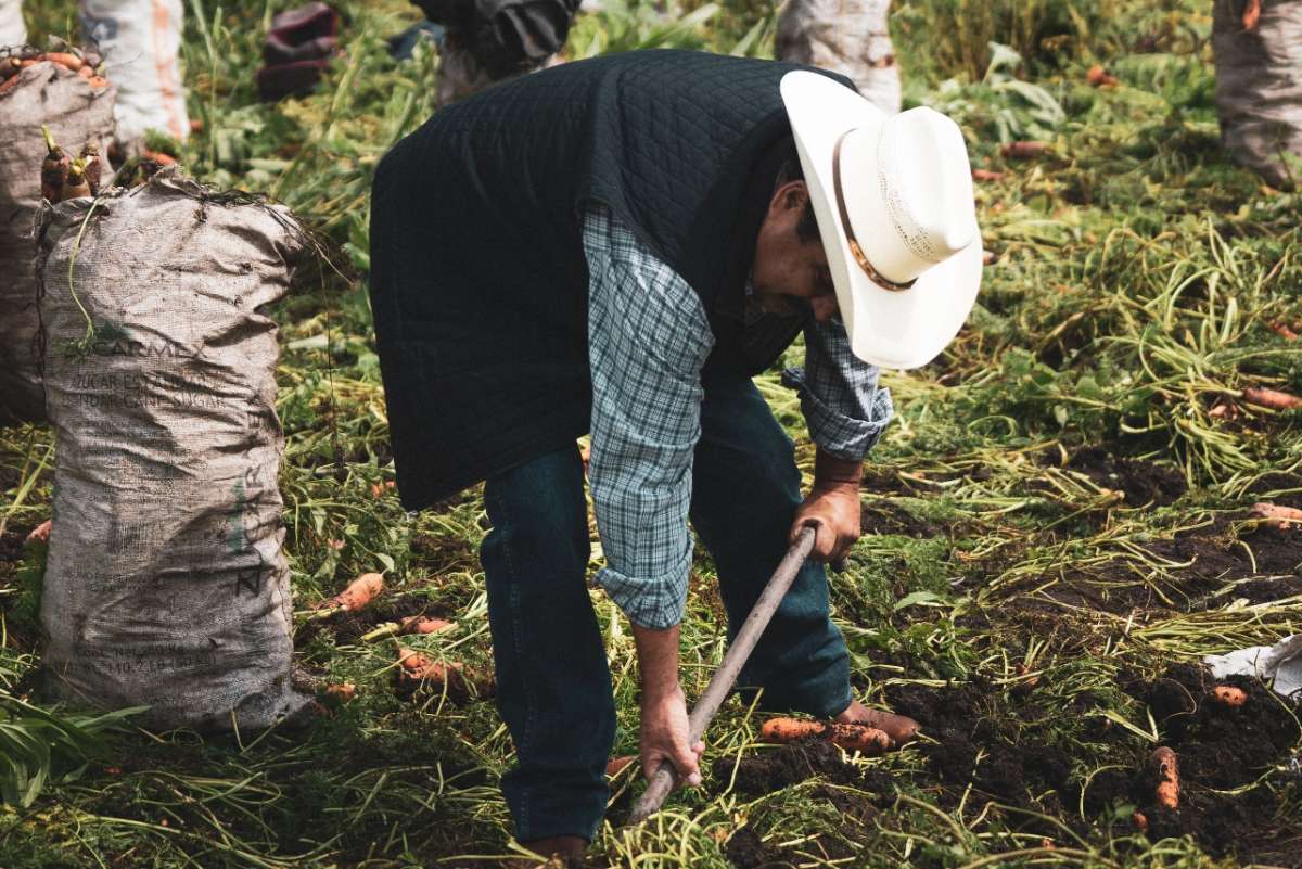 Trata laboral en Estados Unidos: cómo funciona esta “esclavitud moderna” y  cómo afecta a los latinos - Solo Dinero