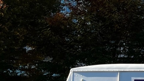 FedEx es una de las tantas empresas que ante los problemas de suministro y la alta demanda de la época, busca trabajadores de reparto en todo Estados Unidos.