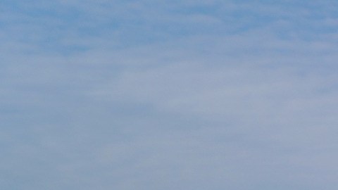 Aunque el Build Back Better tiene muchos beneficios laborales, hay otros más específicos que podrían impactar a 6.5 millones de inmigrantes en Estados Unidos.