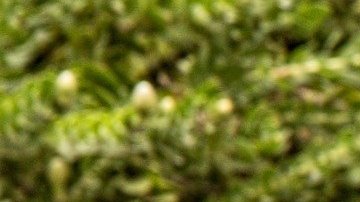 El Departamento de Justicia argumenta que Uber a cobrado cuotas de espera a personas con discapacidad, que requieren de más tiempo para subir a las unidades.