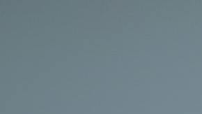 Hay instituciones y organismos de protección al consumidor que buscan evitar que las agencias de crédito afecten los puntajes de los consumidores por cuestiones que podrían ser raciales.