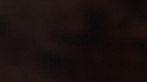 Pavo de Acción de Gracias