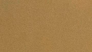 Best Buy Black Friday