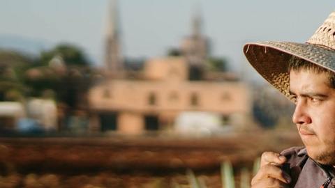 Agricultor latino en EEUU