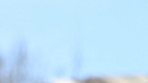 El senador Joe Manchin se ha negado a votar el Build Back Better, entre otras cosas, por que considera que el Crédito Tributario por Hijos es muy caro.