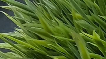 Actualmente, la visibilidad de que se realiza limpieza constante en el espacio de trabajo es una prioridad para los empleados.