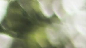 Los estudiantes o personas con una deuda en préstamos estudiantiles deberían reanudar sus pagos antes de que acabe la nueva indulgencia.