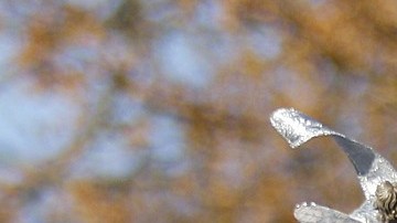 Los ingresos promedio de un Santa Claus hasta el 25 de diciembre ronda los $5,000 y $8,000 dólares.