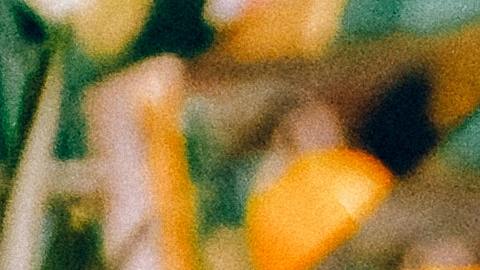 Para el 71% de los consumidores, las personas deberían aprender a vivir en una nueva normalidad con Covid-19, incluyendo el uso de mascarillas.