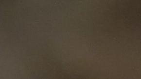 El tema de la vacunación sigue siendo controvertido para muchos de estadounidenses quienes no quieren inmunizarse.