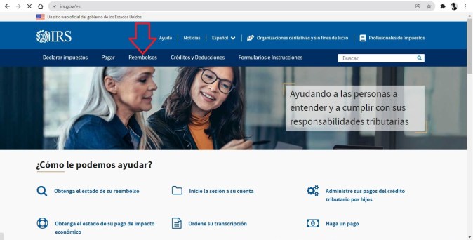 Captura del sitio oficial del Servicio de Impuestos Internos
