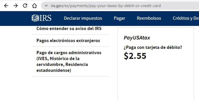 Captura de pantalla del sitio oficial del sitio web oficial del IRS mostrando las distintas modalidades