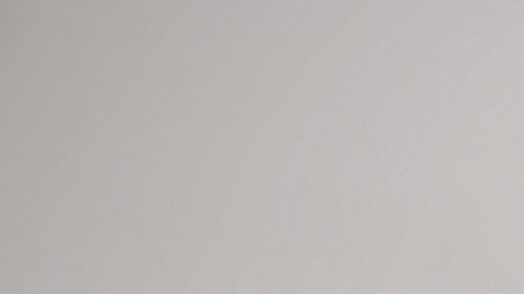 El IRS no tiene un periodo de tiempo específico para realizar una auditoría por posible evasión fiscal.