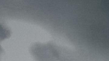 Hasta febrero de 2021, daños en estatuas históricas, murales, muebles y otros artículos sumaban más de $30 millones de dólares en reparaciones.