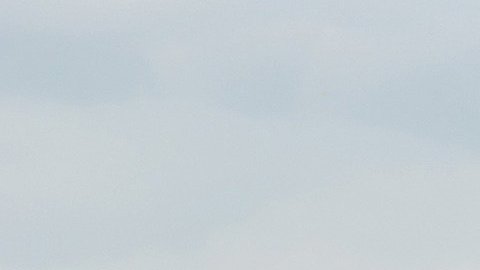Delta Air Lines y Lyft se asociaron desde 2018 y ahora ofrecen un nuevo servicio para tener una mejor experiencia de viaje.