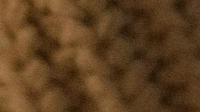 Hay millones de personas que podrían estar sin trabajo y no califica para los seguros de desempleo.