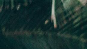 Ya sea que lo hagas solo o acompañado, hay aplicaciones en las que podrías ganar dinero sólo por caminar.