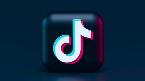 TikTok está valorada en $250 mil millones de dólares, y en gran medida sus tiktokers exitosos son adolescentes.