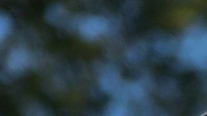 Foto de una mujer graduándose