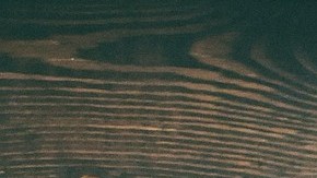 Hoy en día es más fácil vender cualquier aparato tecnológico, como celulares y cámaras digitales, gracias a internet.