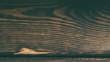 Hoy en día es más fácil vender cualquier aparato tecnológico, como celulares y cámaras digitales, gracias a internet.