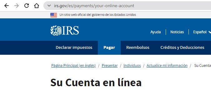 Captura de pantalla de servicio en línea del IRS