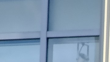 macys_shutterstock_1734038192