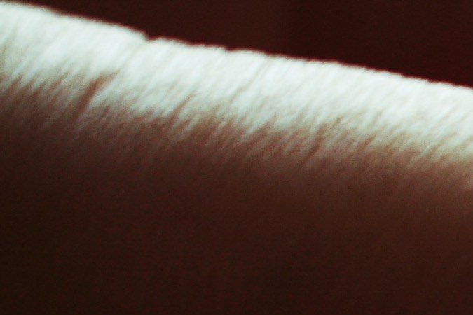 moneda_de_centavo_shutterstock_405738934