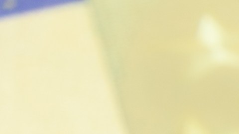 petroleo
