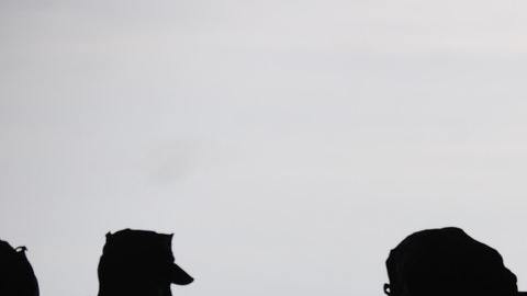 Ejército de Estados Unidos