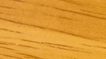 powerball_shutterstock_1263329296