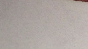 Formulario 1040