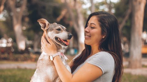 Tener una mascota es una gran responsabilidad financiera.