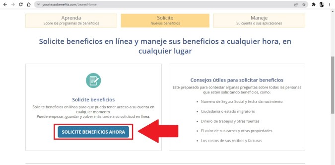 Captura de pantalla de la solicitud en línea del programa SNAP en Texas.