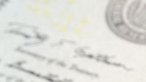 Foto de varias tarjetas del Seguro Social junto a unos dólares