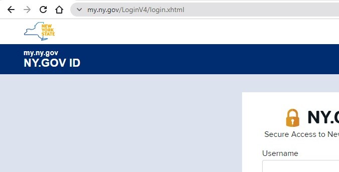 Captura de la página de inicio de sesión del gobierno del estado de Nueva York