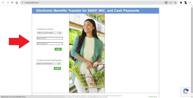 Captura de pantalla de la página para consultar los beneficios SNAP.