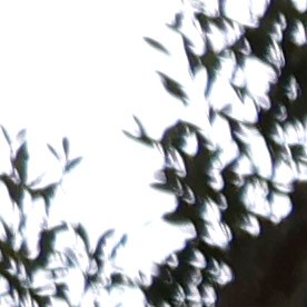 Fontanero en Estados Unidos