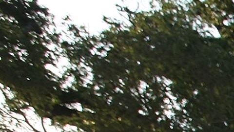 Mississippi