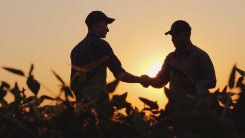 Trabajo en agricultura