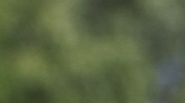 precios de la vivienda