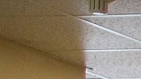 Solicitudes de desempleo